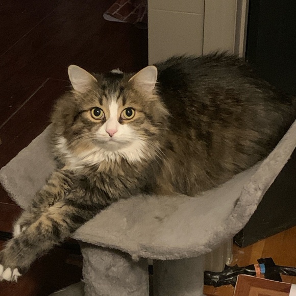 Thanks for this auto-post - Picture 1 of 1